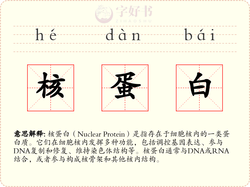 核蛋白