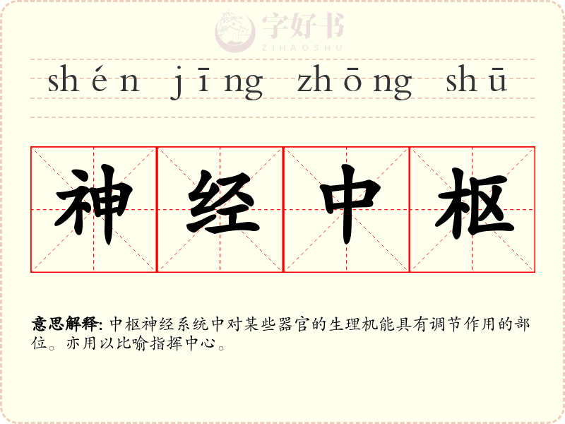 神经中枢