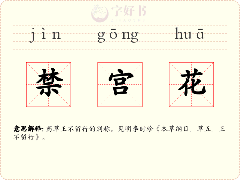禁宫花