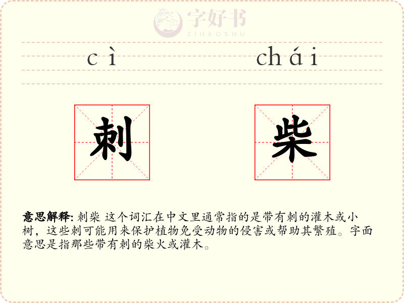 刺柴