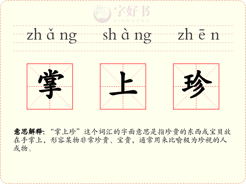 掌上珍