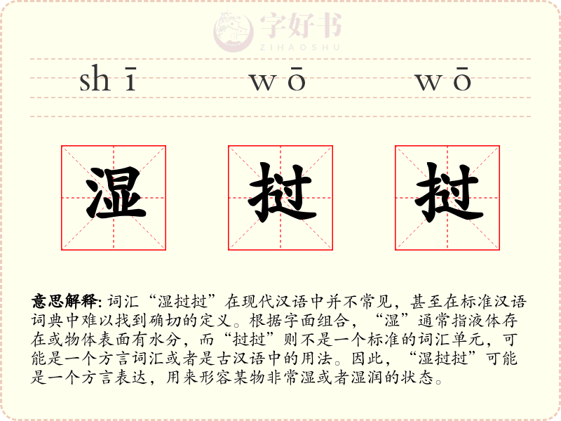 湿挝挝