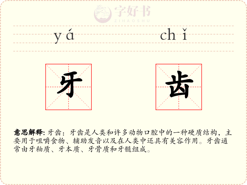 牙齿