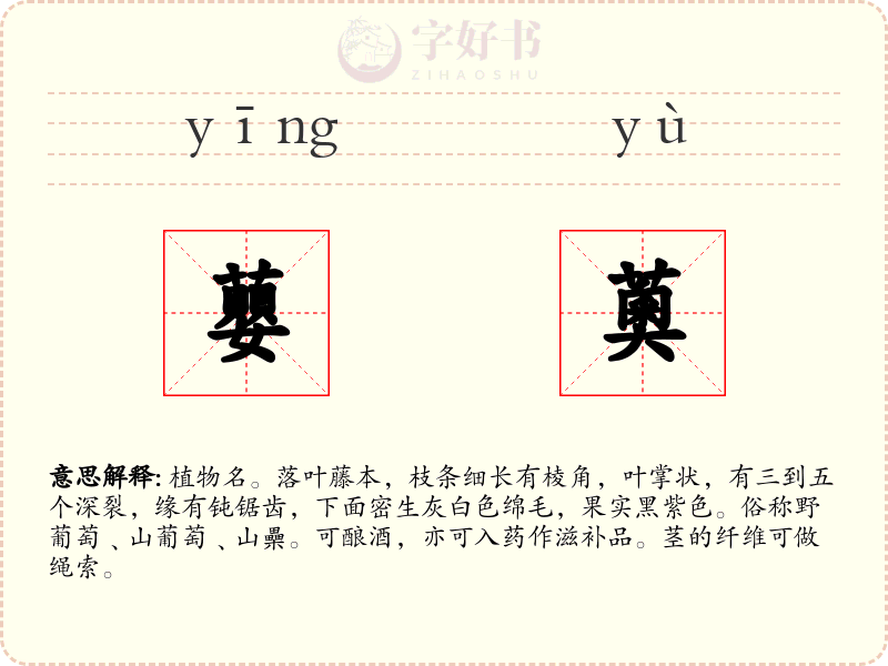 蘡薁