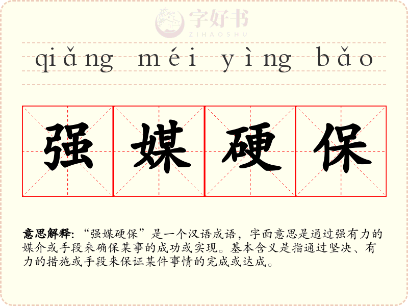 强媒硬保
