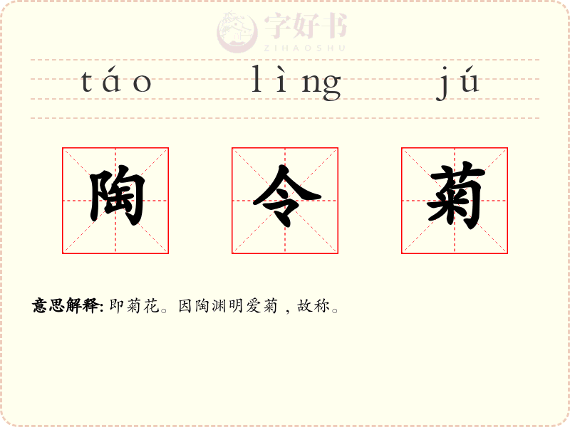 陶令菊