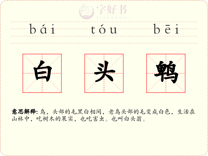 白头鹎