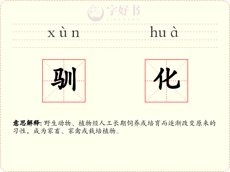 驯化