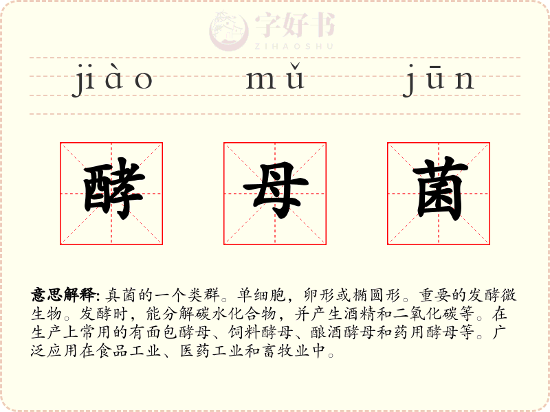 酵母菌