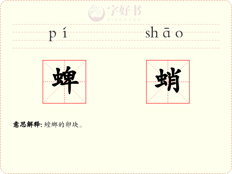 蜱蛸