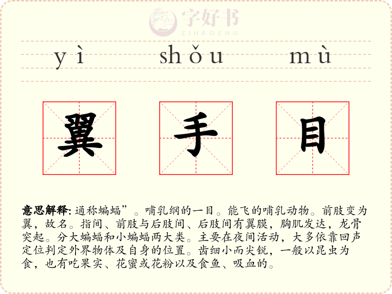 翼手目