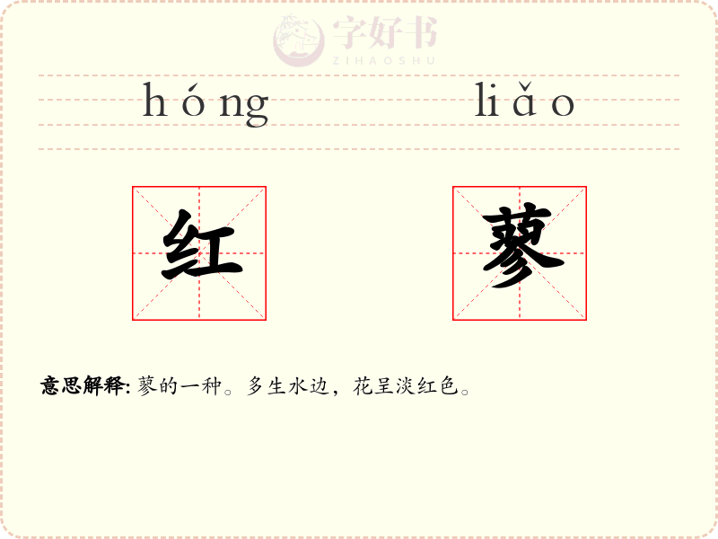 红蓼
