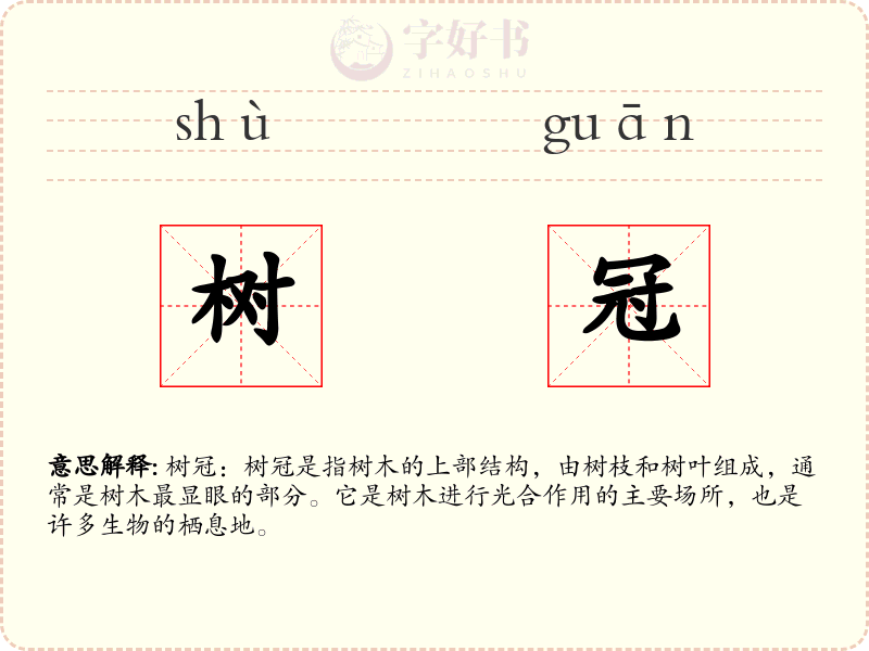 树冠
