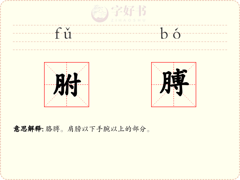 胕膊