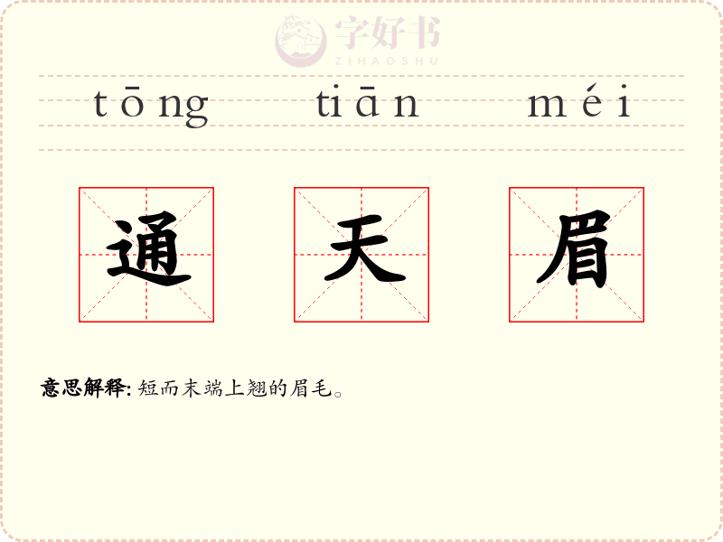 通天眉