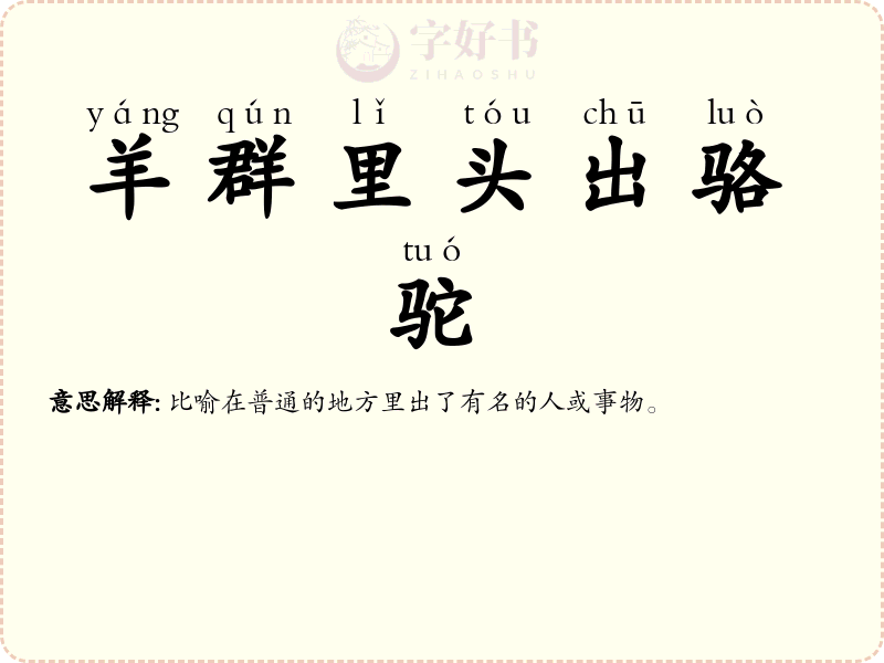 羊群里头出骆驼
