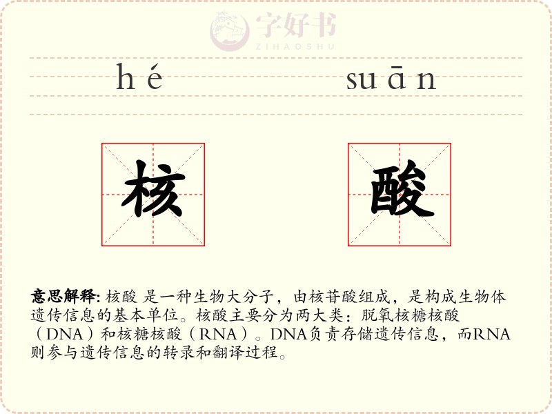 核酸