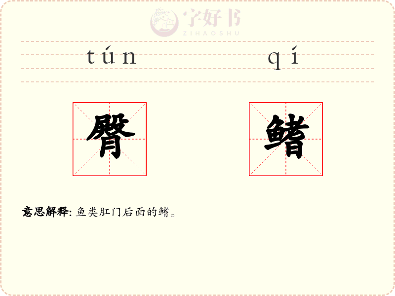 臀鳍