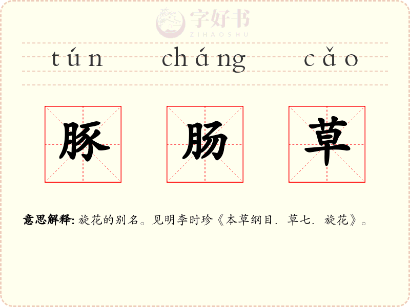 豚肠草