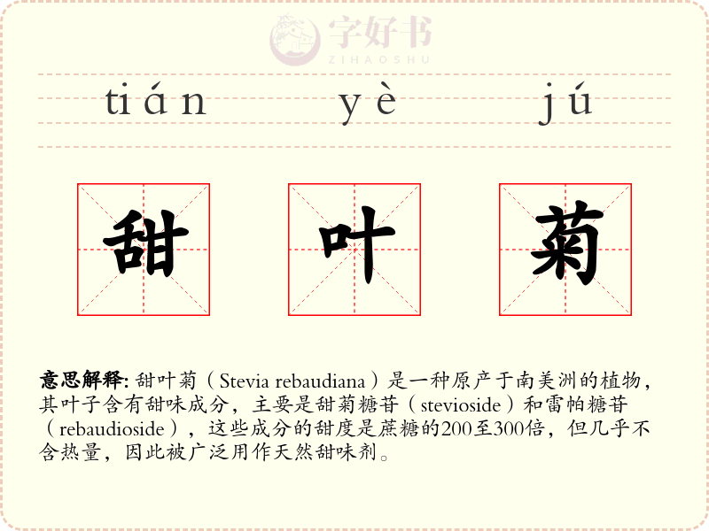 甜叶菊