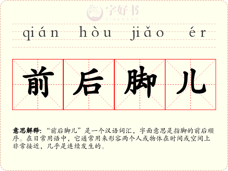 前后脚儿