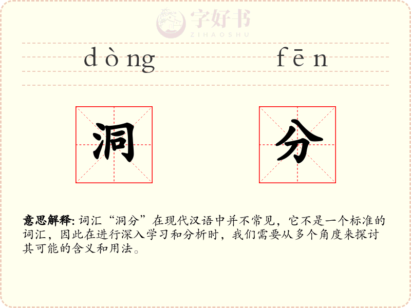 洞分