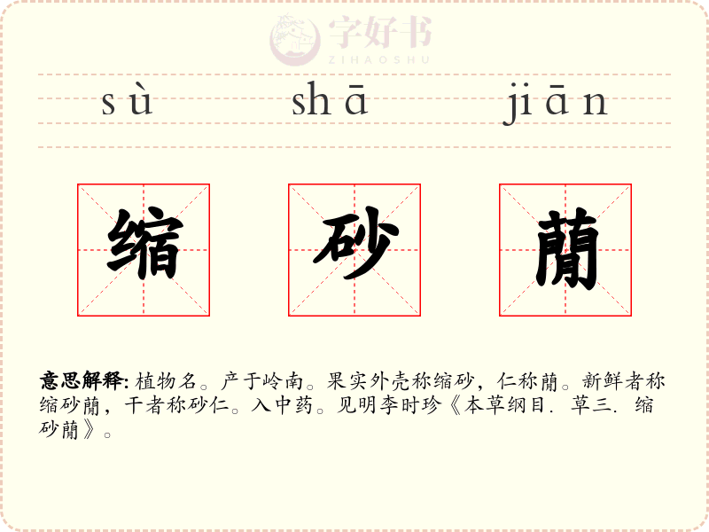 缩砂蕑
