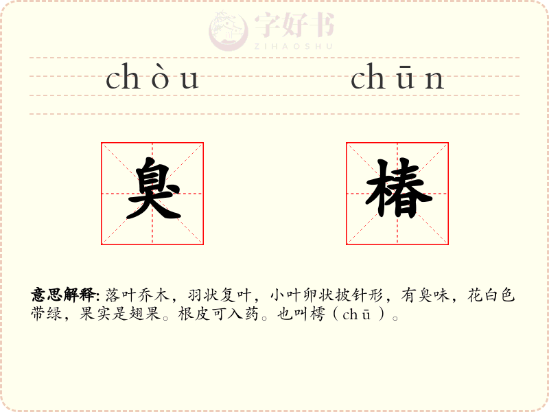 臭椿