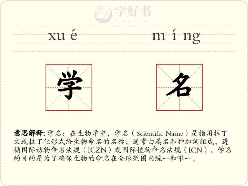 学名