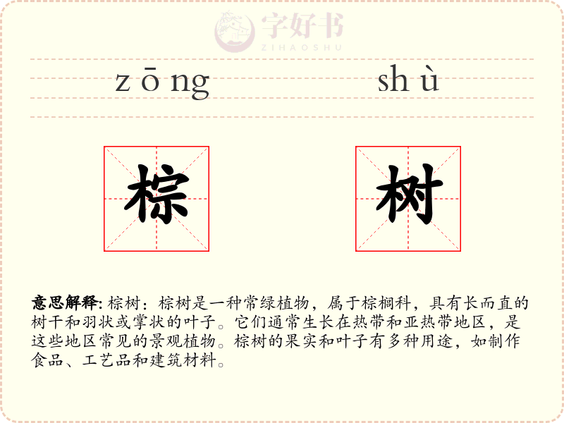 棕树