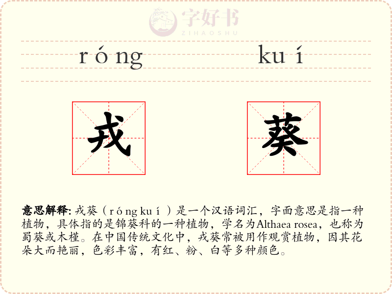 戎葵