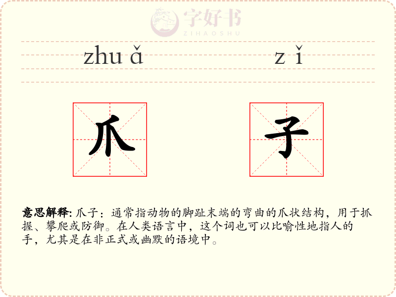 爪子