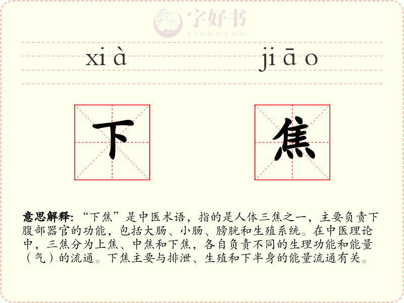 下焦