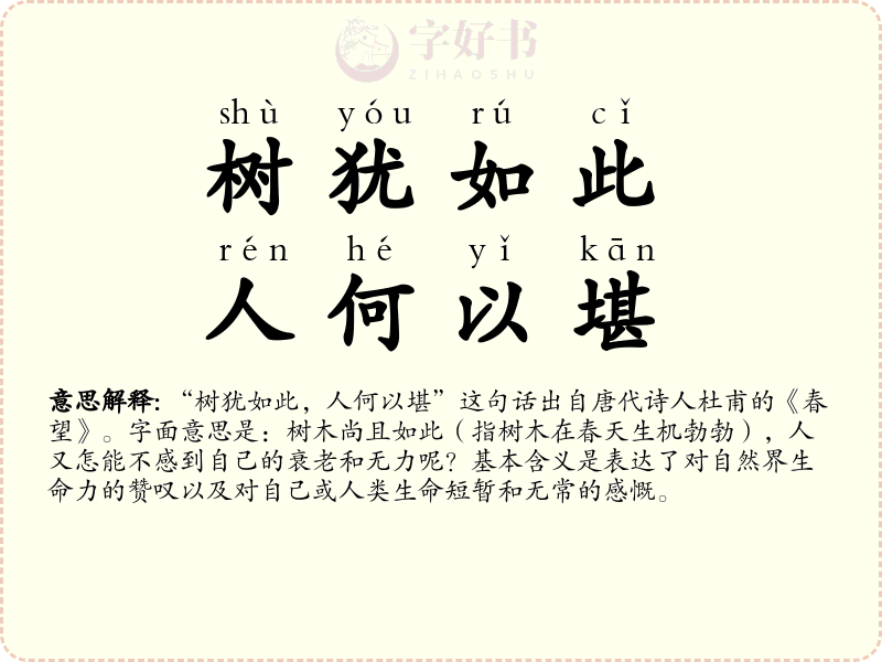 树犹如此，人何以堪