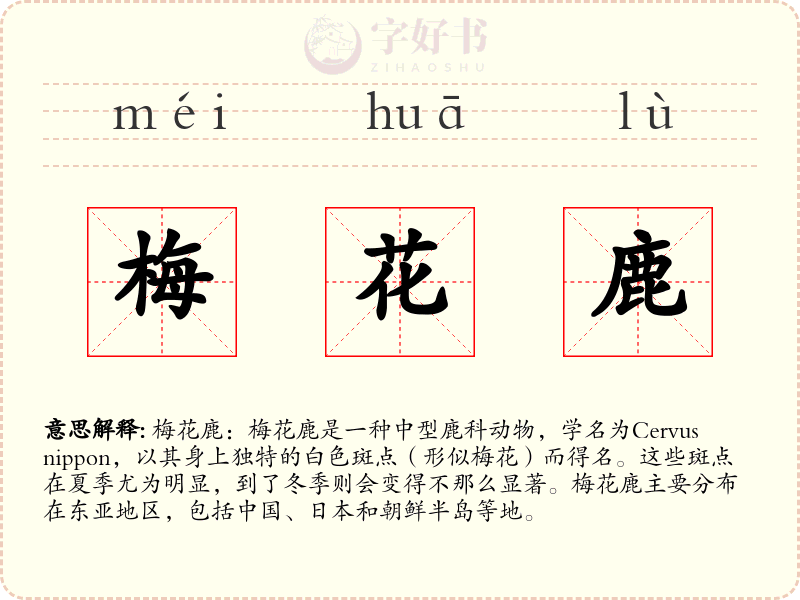 梅花鹿