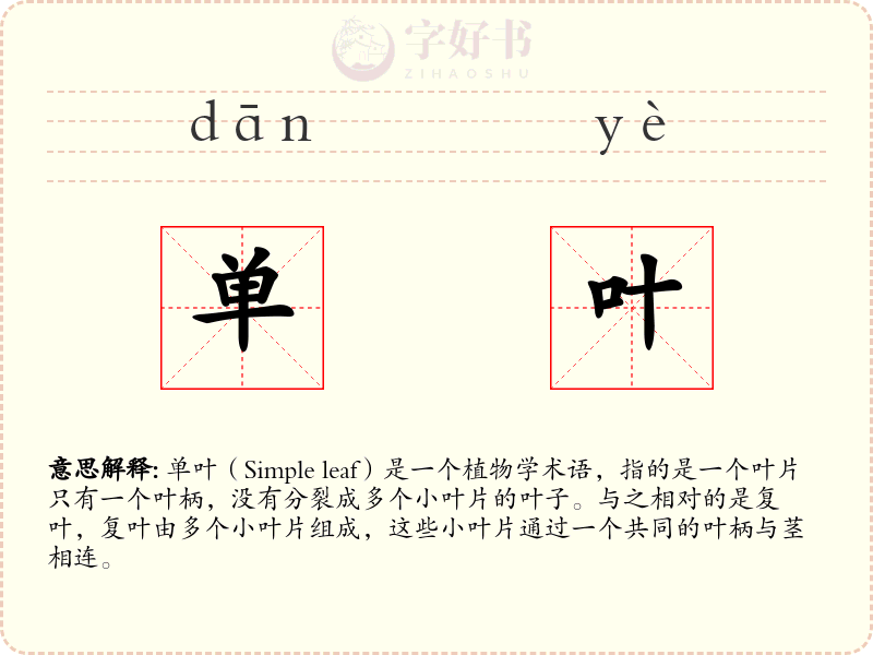 单叶