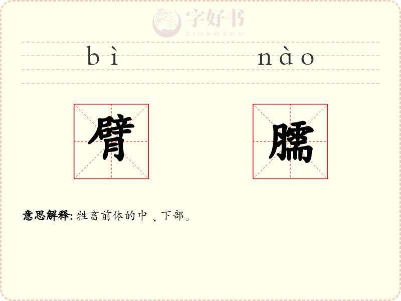 臂臑
