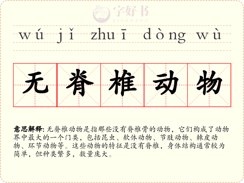 无脊椎动物