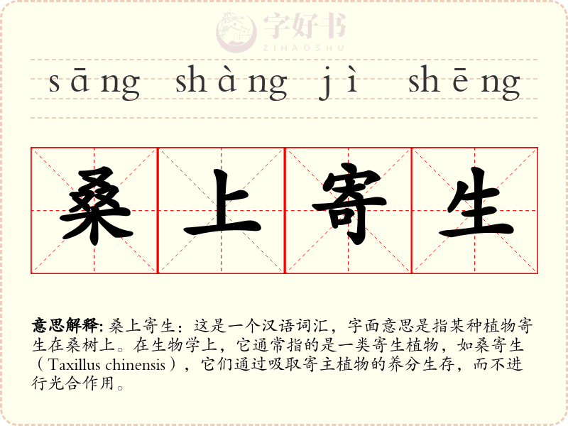 桑上寄生