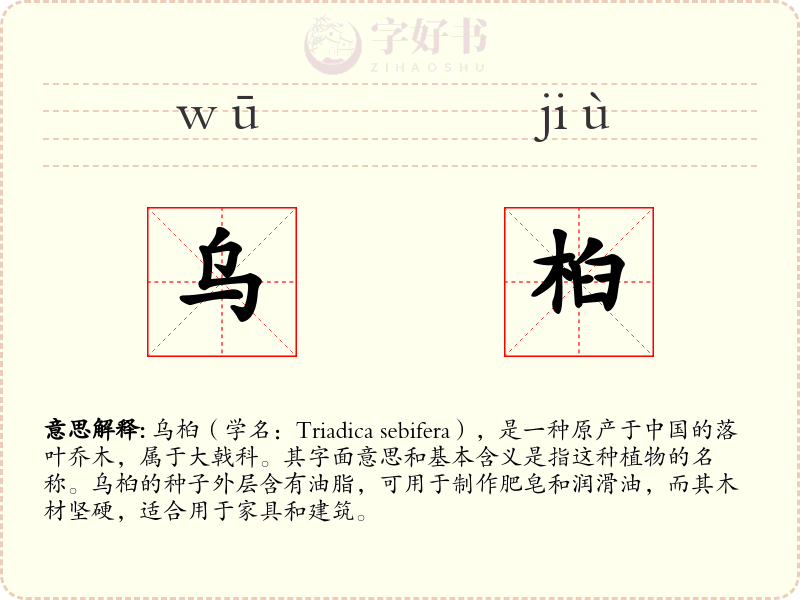乌桕