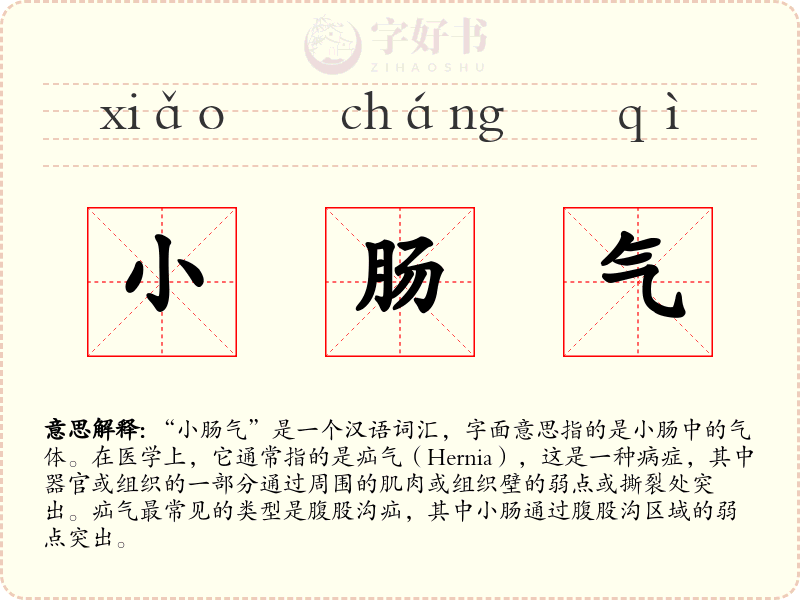 小肠气