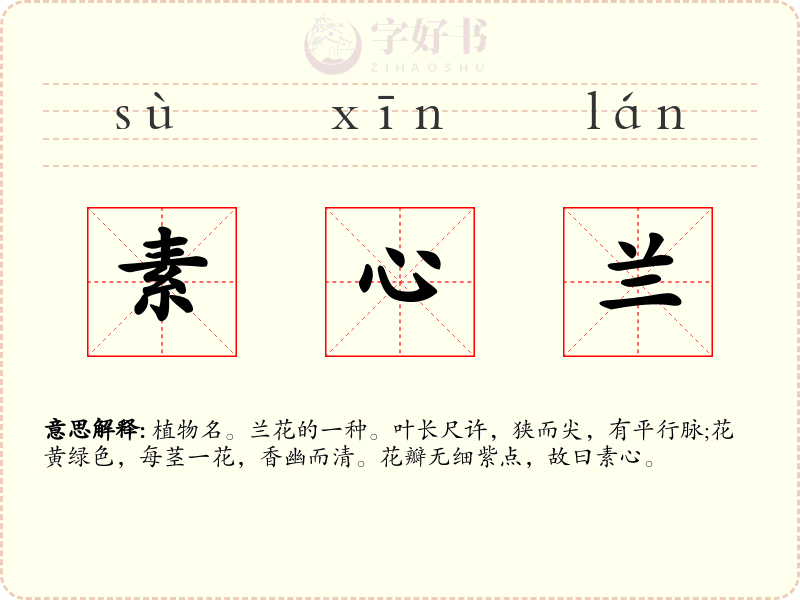 素心兰
