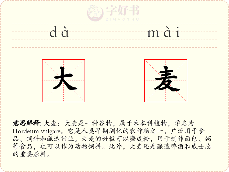大麦