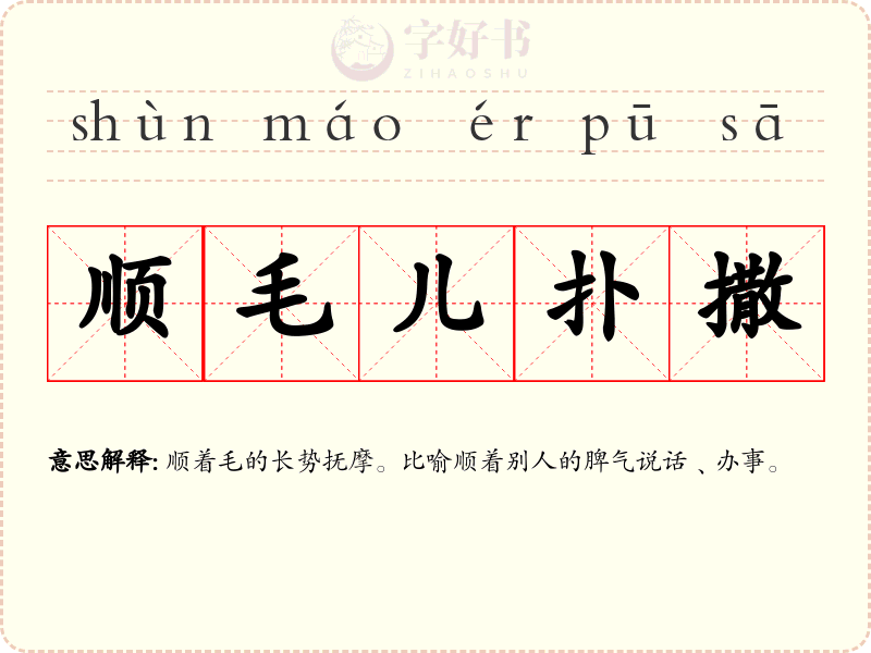 顺毛儿扑撒