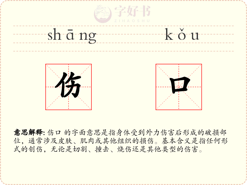 伤口