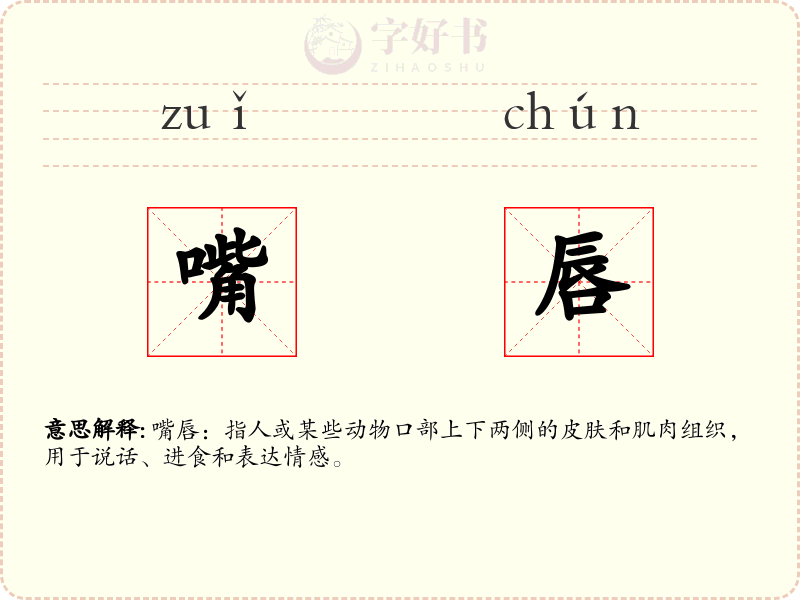 嘴唇