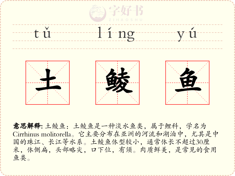 土鲮鱼