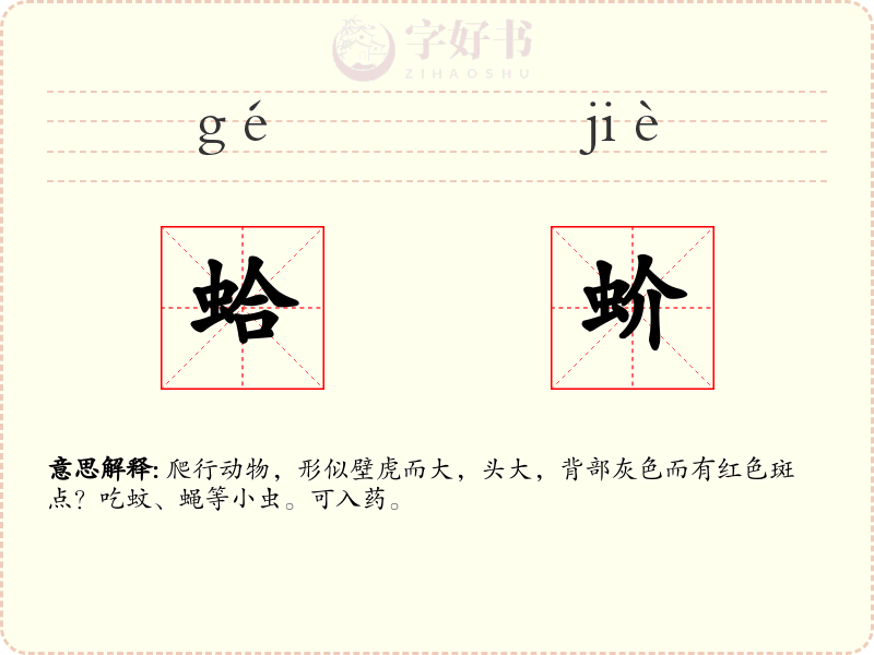 蛤蚧