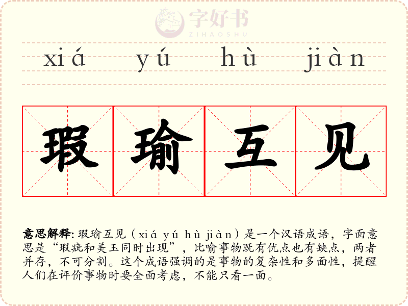 瑕瑜互见
