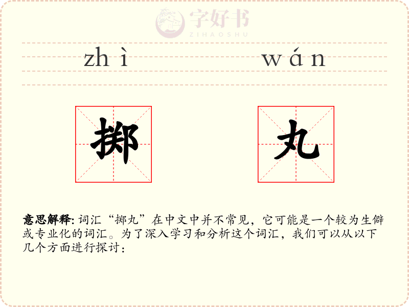 掷丸